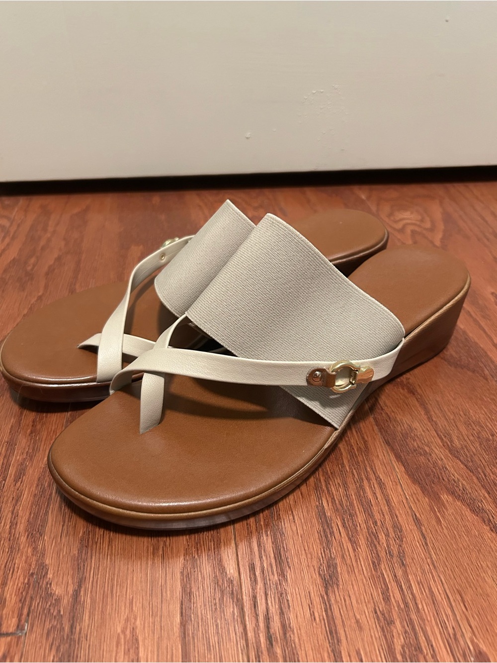 Italian Shoemakers Wedge Thong Sandals in Beige and Brown